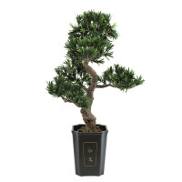 Europalms Bonsai Podocarpus, Kunstpflanze, 80cm