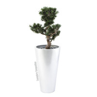 Europalms Bonsai Podocarpus, Kunstpflanze, 80cm