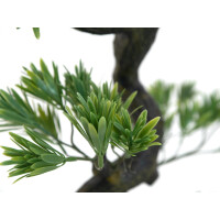 Europalms Bonsai Pinie, Kunstpflanze, 95cm 4