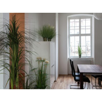 Europalms star grass, artificial, 120cm