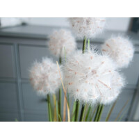 Europalms dandelion, artificial flower, 107cm