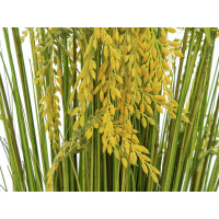 Europalms reed grass bundle, artificial, 118cm