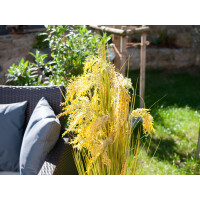 Europalms reed grass bundle, artificial, 118cm