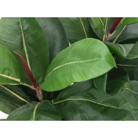 Europalms Gummibaum, Kunstpflanze, 120cm