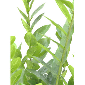 Europalms Zamifolia, Kunstpflanze, 70cm