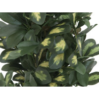 Europalms Schefflera, künstlich, 120cm