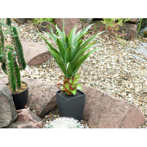 Europalms Agave im Topf, Kunstpflanze, 75cm