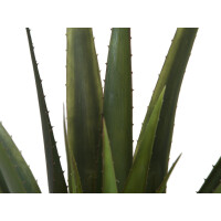 Europalms Aloe-Vera Pflanze, Kunstpflanze, 60cm