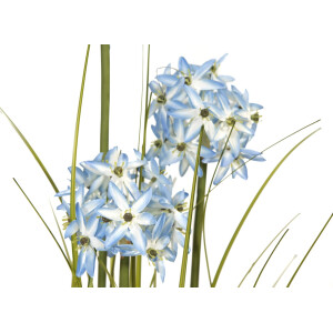 Europalms Alliumgras, Kunstpflanze, blau, 120 cm