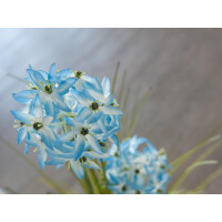 Europalms Alliumgras, Kunstpflanze, blau, 120 cm