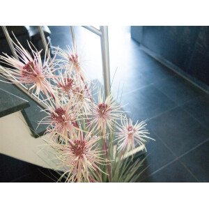 Europalms Sunny grass, artificial plant, 120 cm