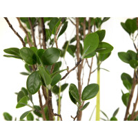 Europalms Immergrünstrauch mit Gras, Kunstpflanze, 120 cm