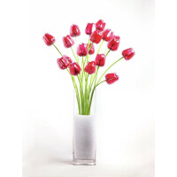 Europalms Kristalltulpe, Kunstblume, rot, 61cm 12x