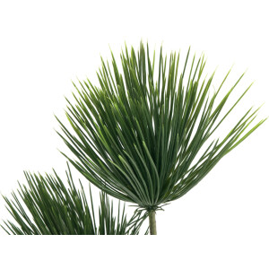 Europalms Papyrus, artificial plant, 100cm