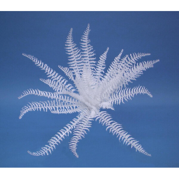 Europalms decorative fern for self-coloring, artificial, 60cm