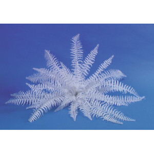 Europalms decorative fern for self-coloring, artificial, 60cm