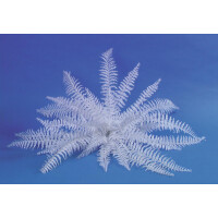 Europalms decorative fern for self-coloring, artificial, 60cm