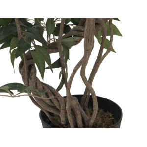 Europalms Ficus Multi Spiralstamm, Kunstpflanze, 130cm