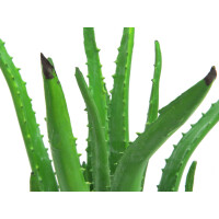 Europalms Aloe-Vera-Pflanze, Kunstpflanze, 63cm