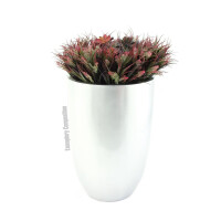 Europalms Leichtsin CUP-69, silber, glänzend