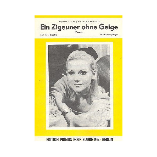 Ein Zigeuner ohne Geige: