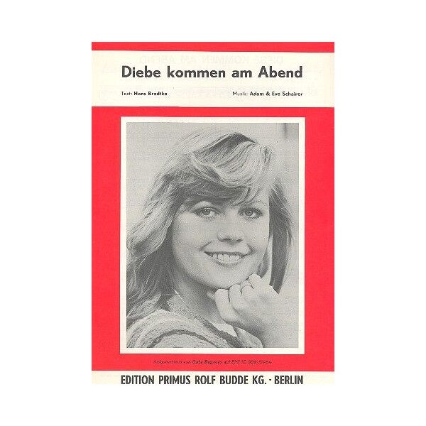 Diebe kommen am Abend: