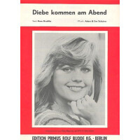 Diebe kommen am Abend: