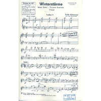 Winterstürme: für Salonorchester