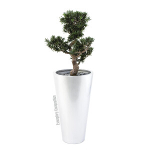 Europalms Leichtsin ELEGANCE-69, silber, glänzend