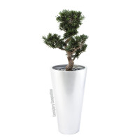 Europalms Leichtsin ELEGANCE-69, silber, glänzend