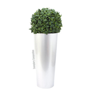 Europalms Leichtsin ELEGANCE-69, weiß, glänzend