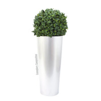 Europalms Leichtsin ELEGANCE-69, weiß, glänzend