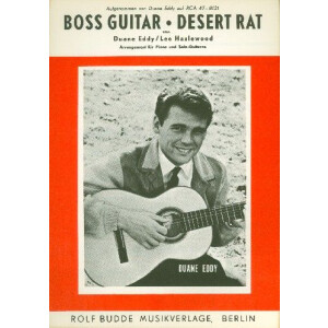 Boss Guitar und Desert Rat: