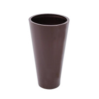 Europalms Leichtsin ELEGANCE-69, braun, glänzend