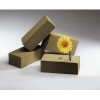 Europalms Steckmasse, 23x11x7,5cm