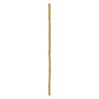 Europalms Bambusrohr, Ø=5cm, 200c gallery