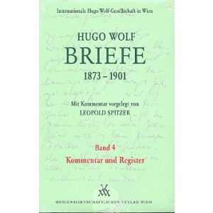 Briefe Band 4 (1873-1901) Kommentar und Register