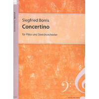 Concertino op.71 für Flöte und Streicher