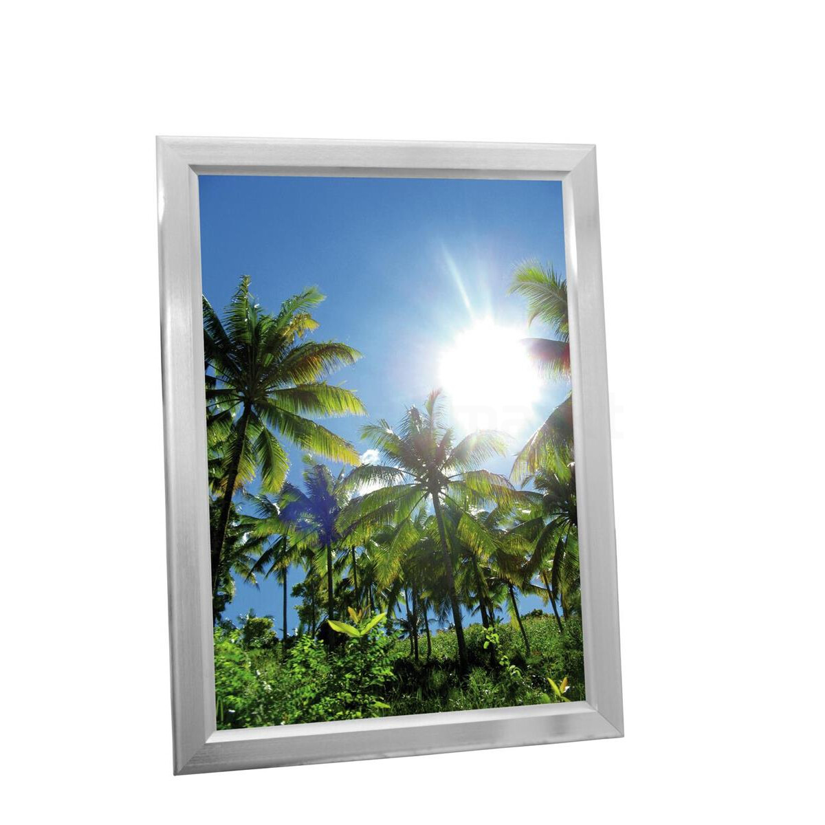 Europalms Reklamewand A1, beleuchtet, al box