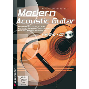 Modern Acoustic Guitar