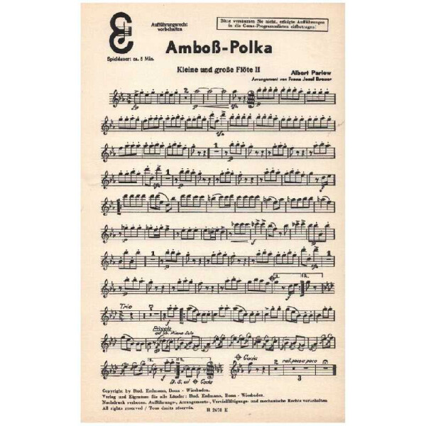 Amboß-Polka: für Salonorchester