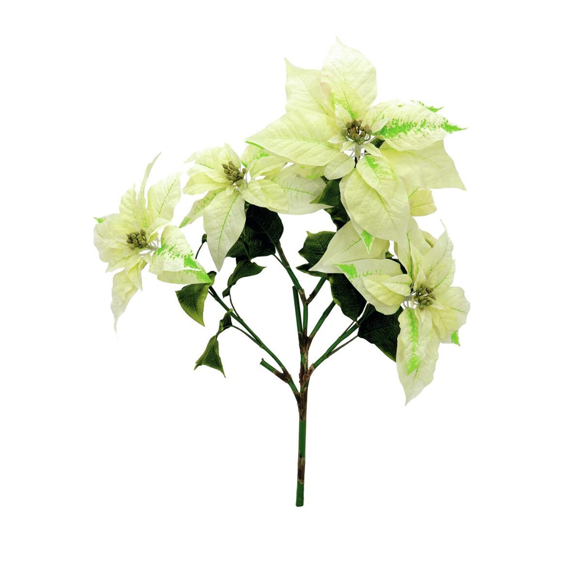 Europalms Weihnachtsstern-Busch, cremefarben, 60cm