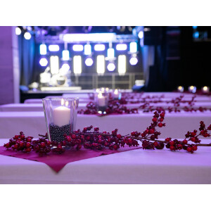 Europalms Beerengirlande rot 180cm