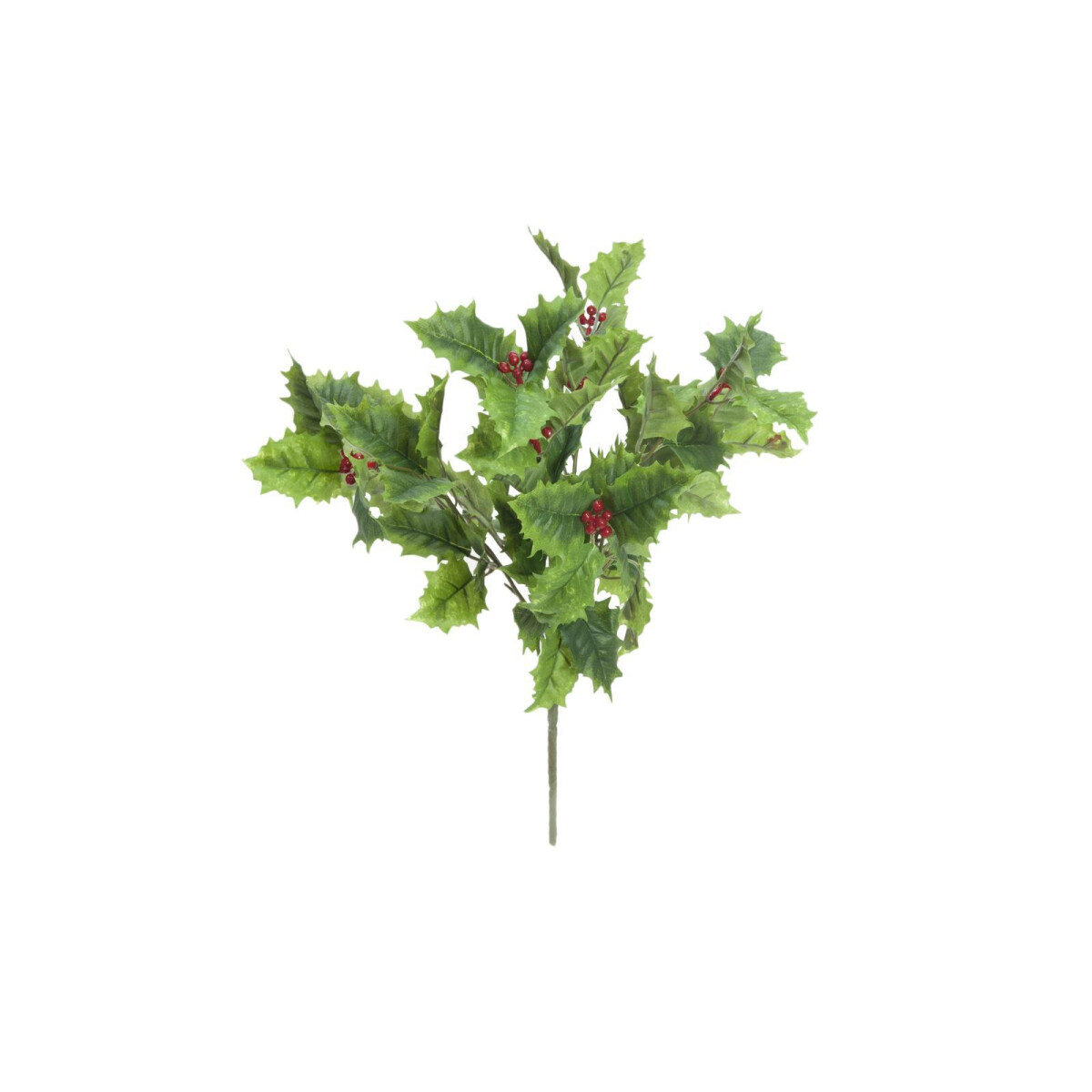 Europalms Stechlaub 43cm