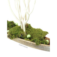 Europalms Dekokugel 3,5cm,hellgrün,glänzend 48x