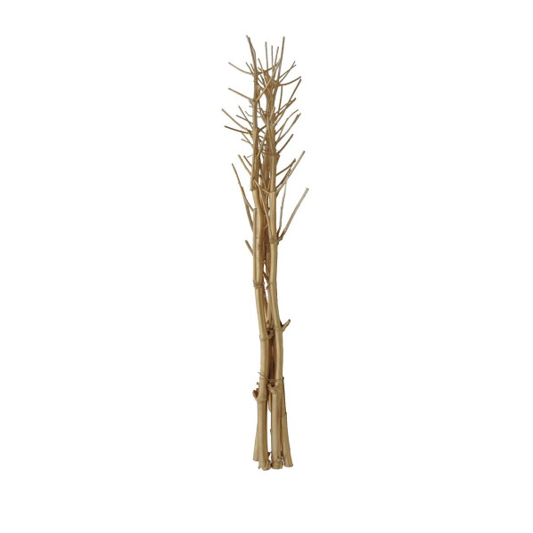 Europalms Fenchelbund, getrocknet, gold, 160cm