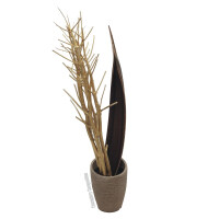 Europalms Fenchelbund, getrocknet, gold, 160cm