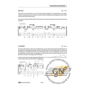 Guitar Training Blues (+CD +DVD):