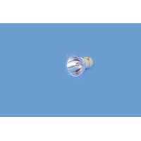 Philips MSD Platinum 5R discharge lamp 2