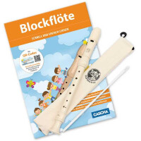 Recorder set (book +QR code +instrument)